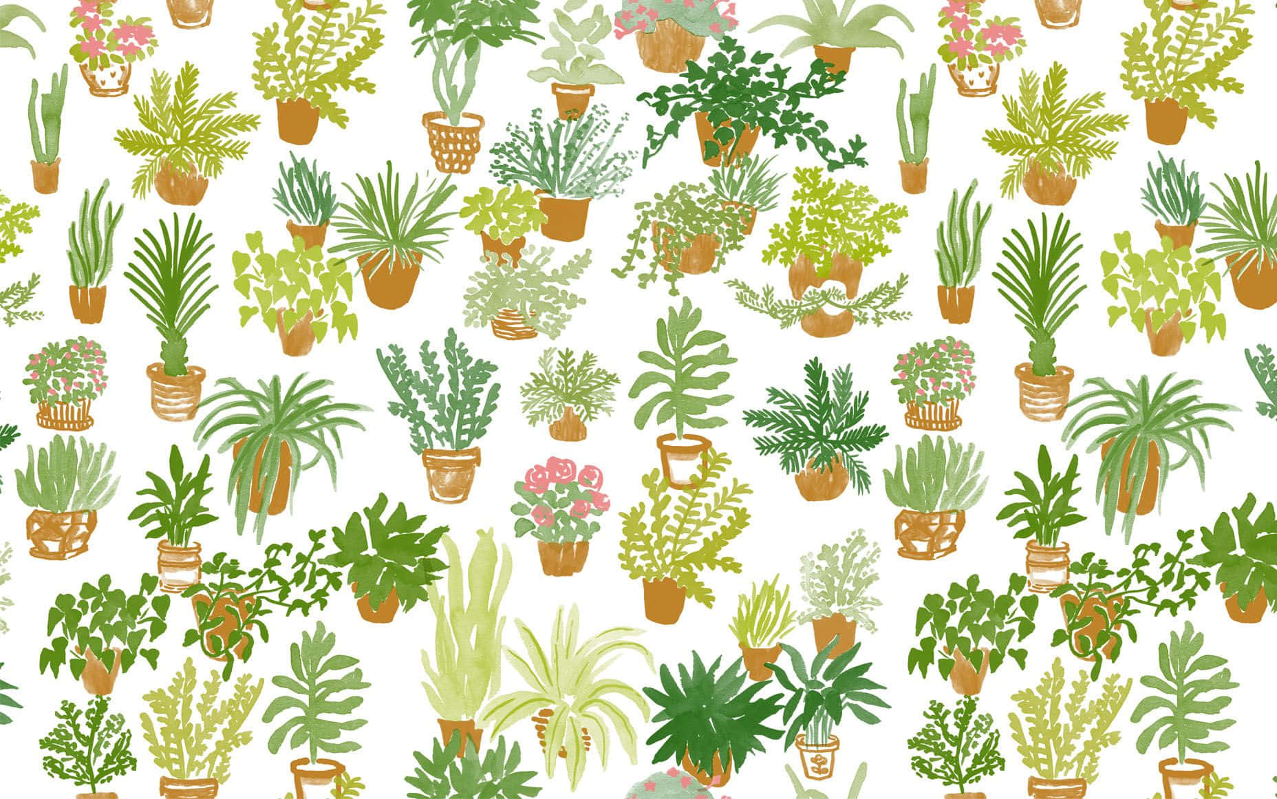 Enjoy the beauty of botanical elegance Wallpaper