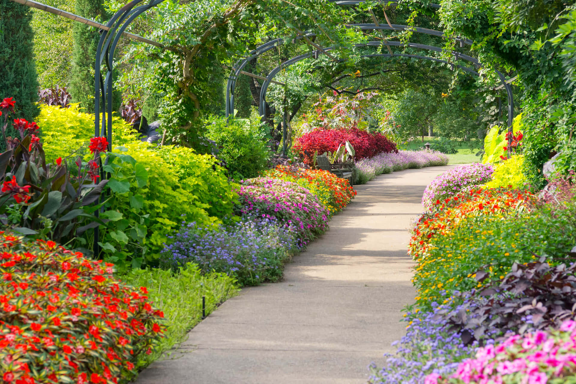 A scenic view of a lush botanical garden Wallpaper