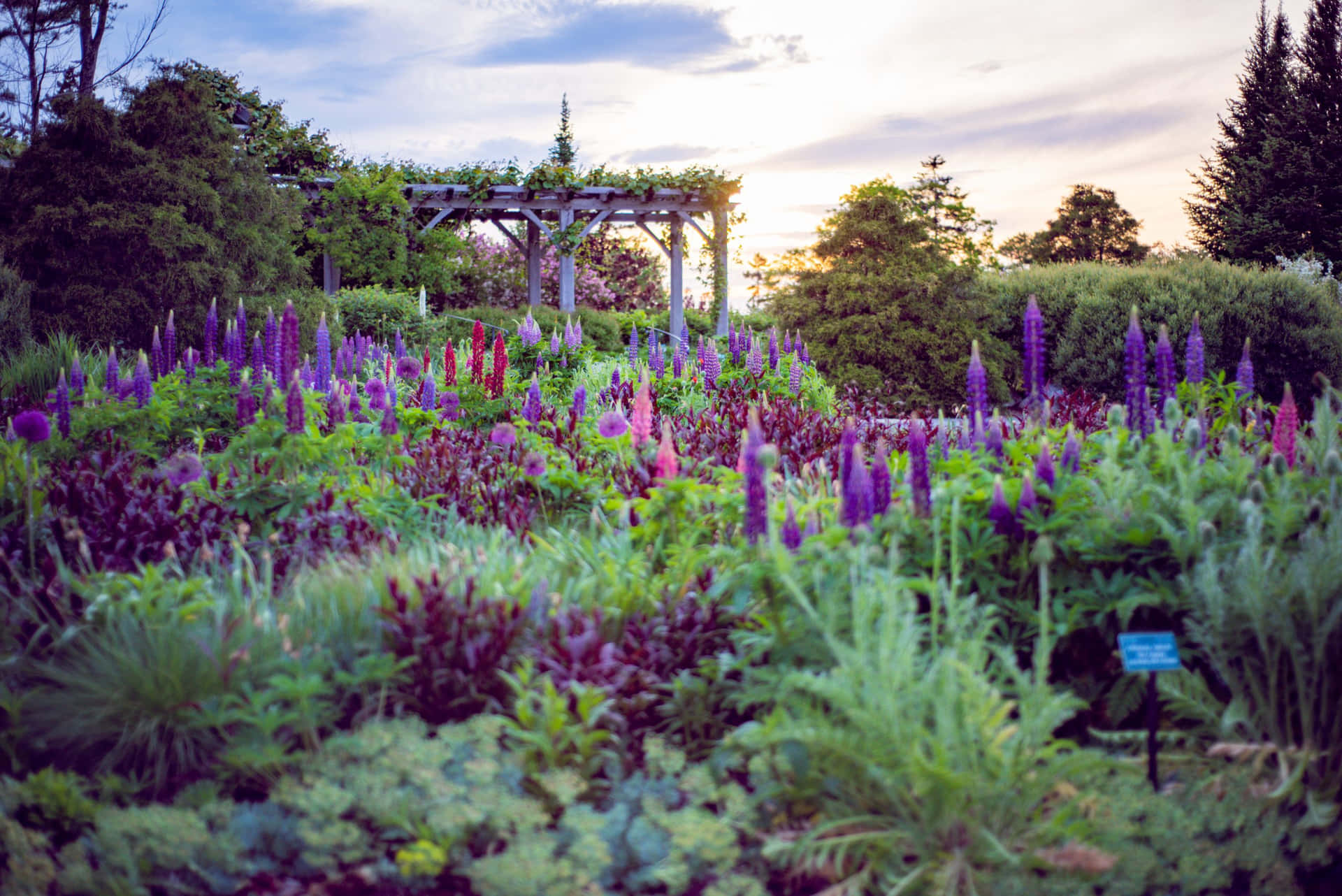 Serene Botanical Garden Pathway Wallpaper