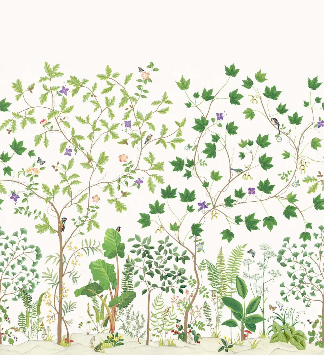 Botanical Garden Illustration Wallpaper