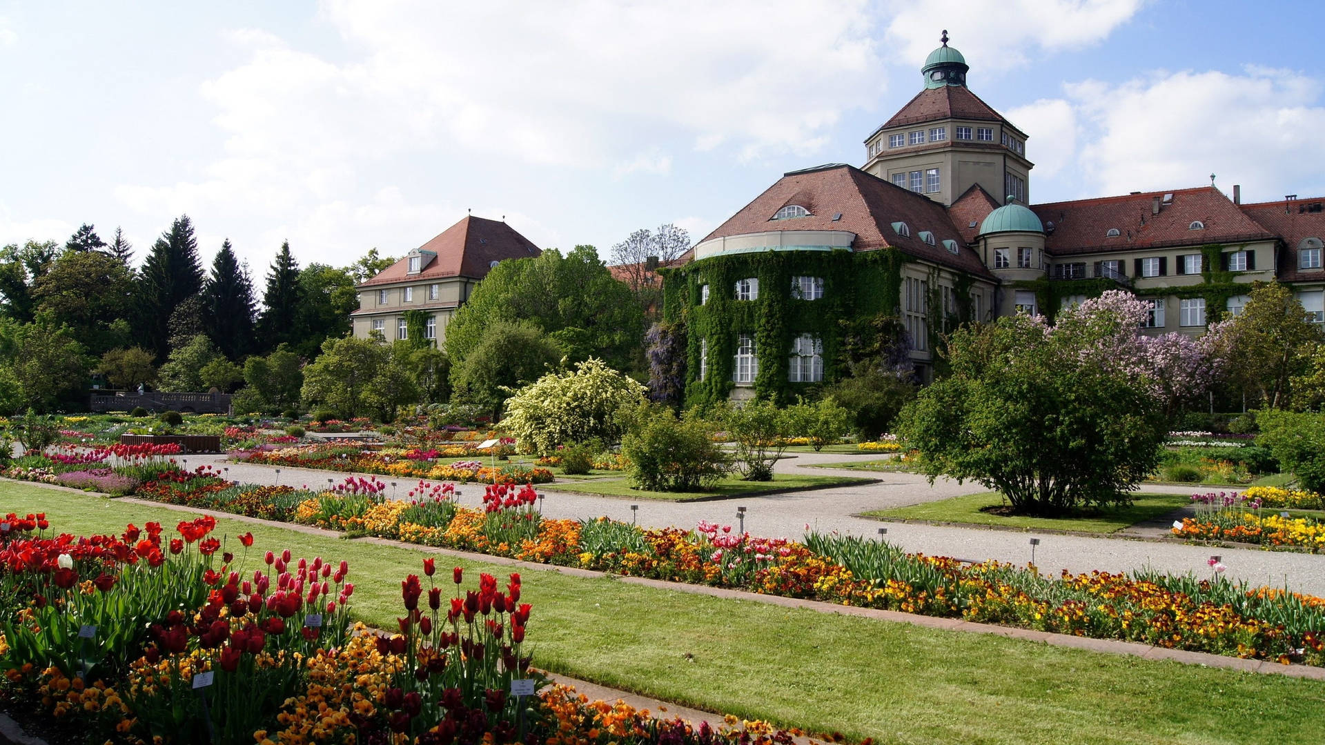 Jardínbotánico En Munich. Fondo de pantalla