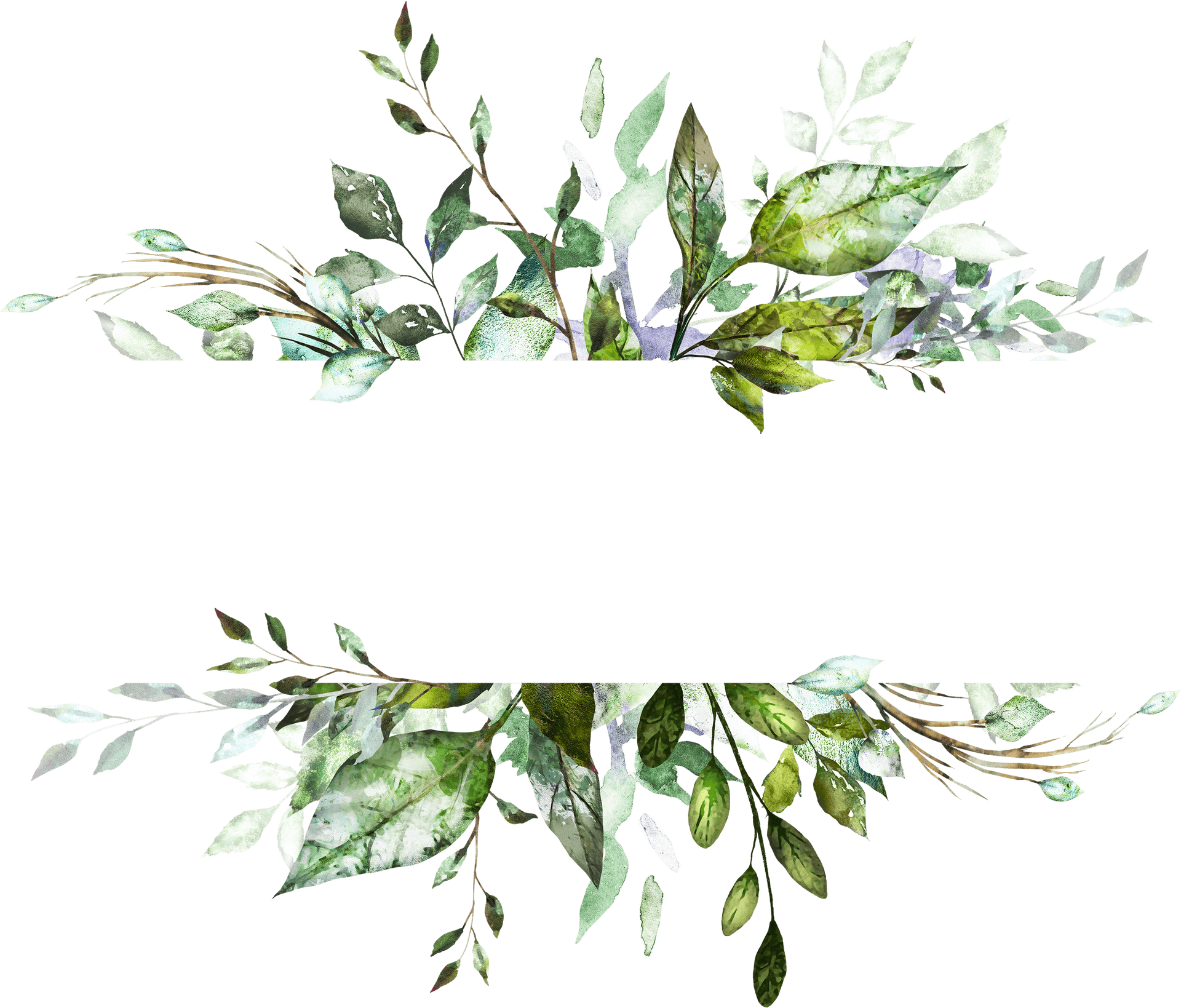 Botanical Leaves Frame Design PNG