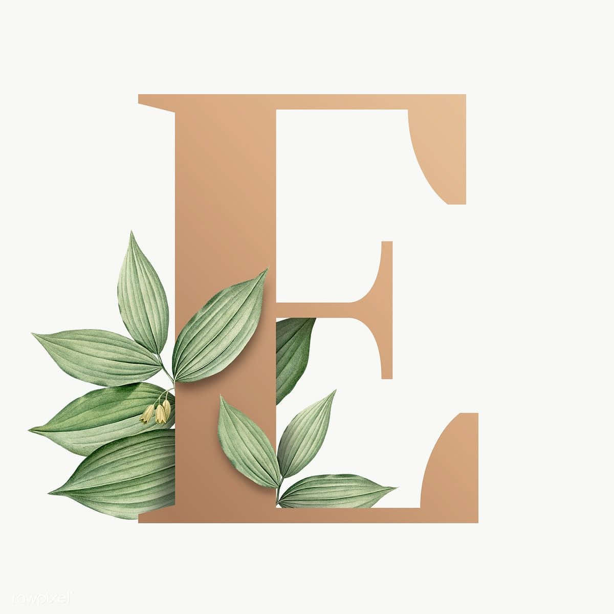 Botanical Letter E Design Wallpaper