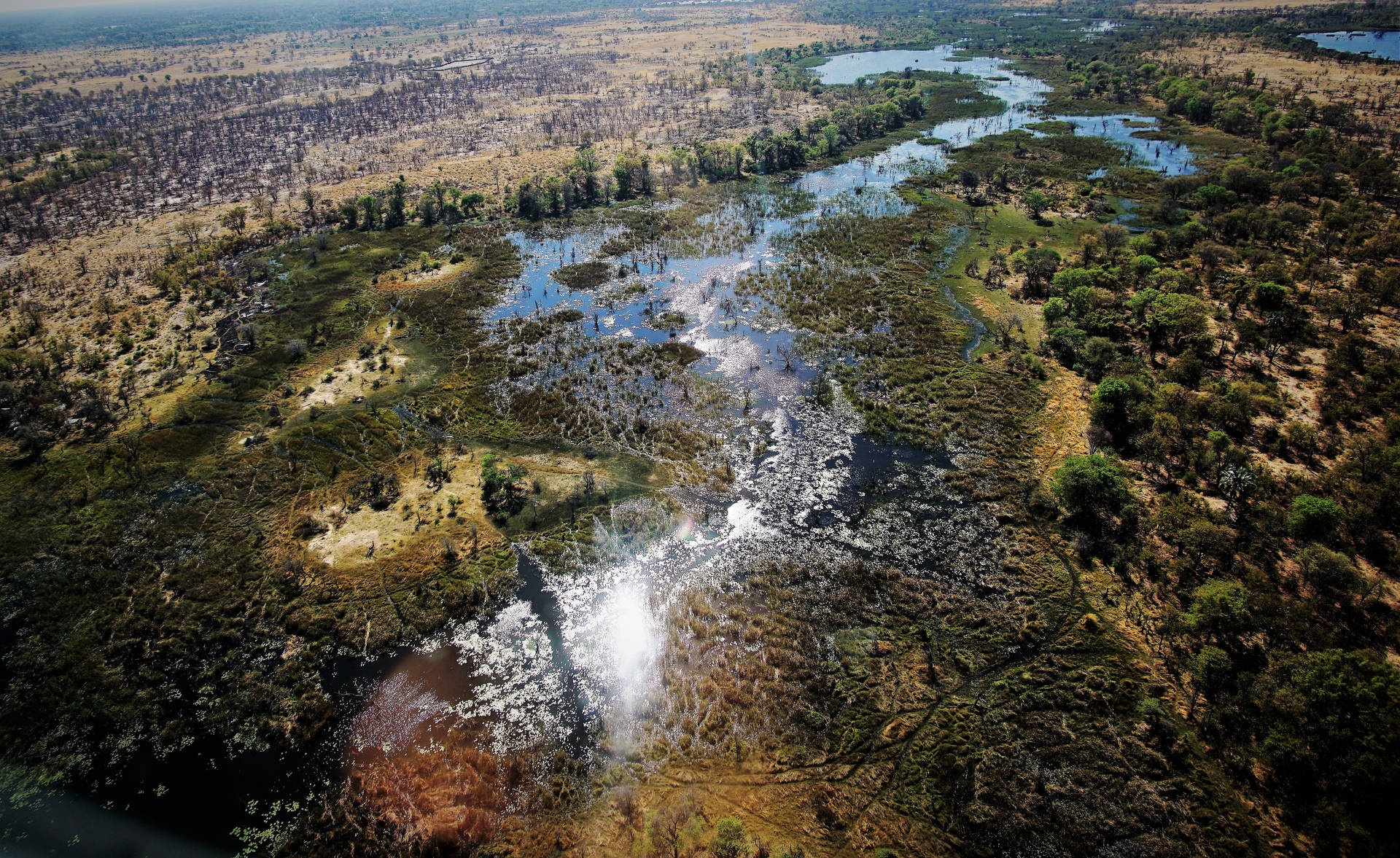 Botswana Okavango Delta Luftfoto Wallpaper