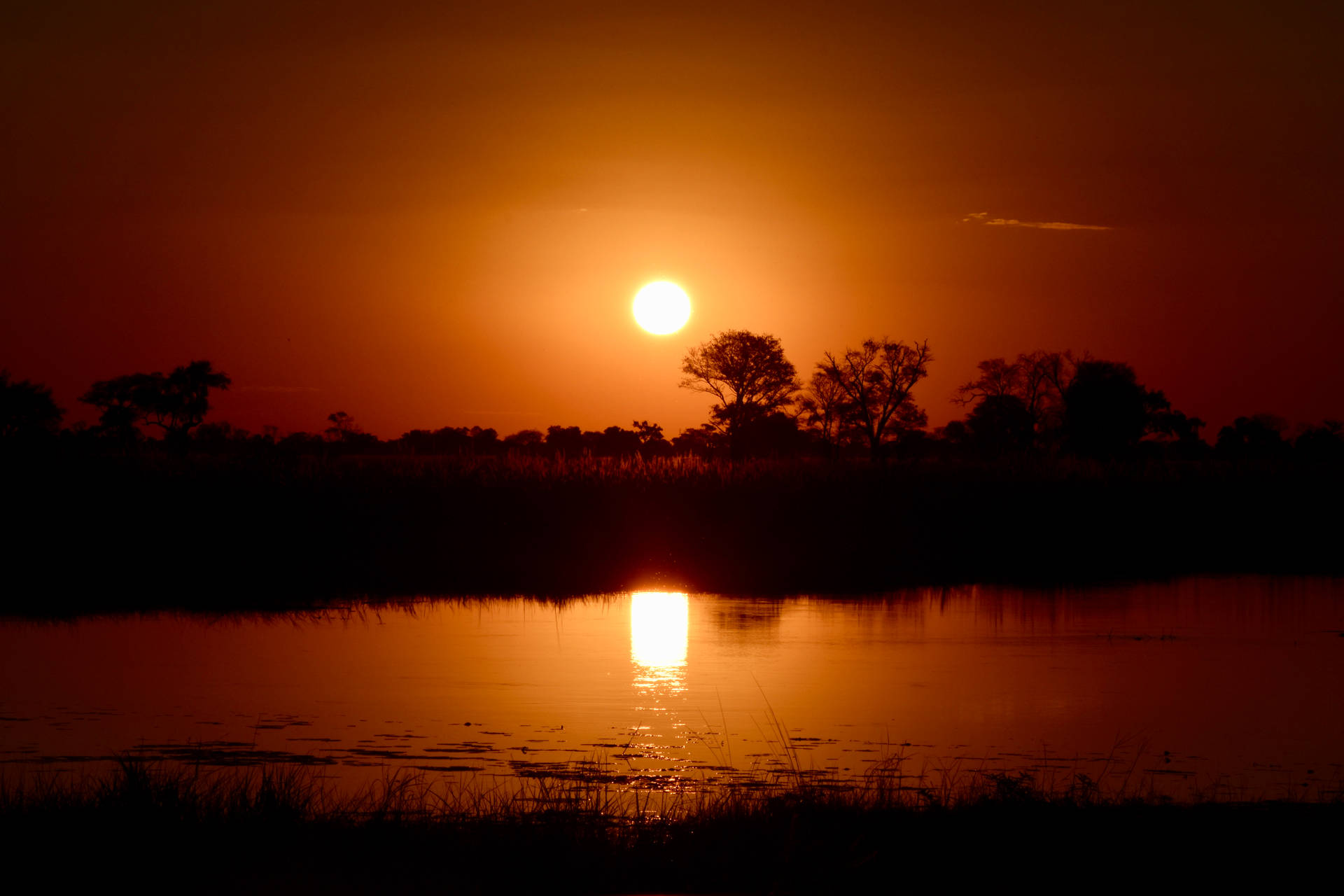 Botswana River Sunset