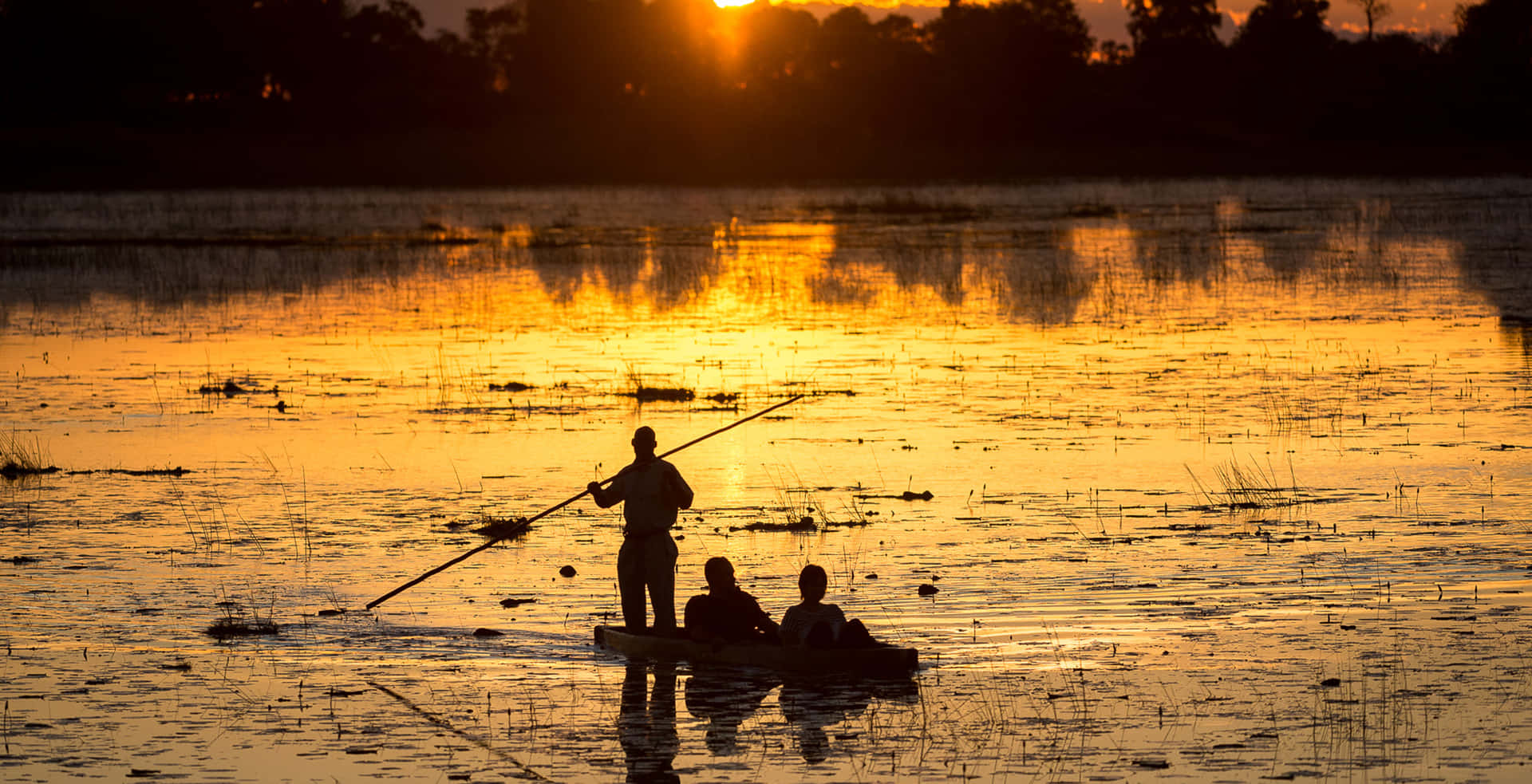 Safarien Botswana En El Delta Del Okavango Fondo de pantalla