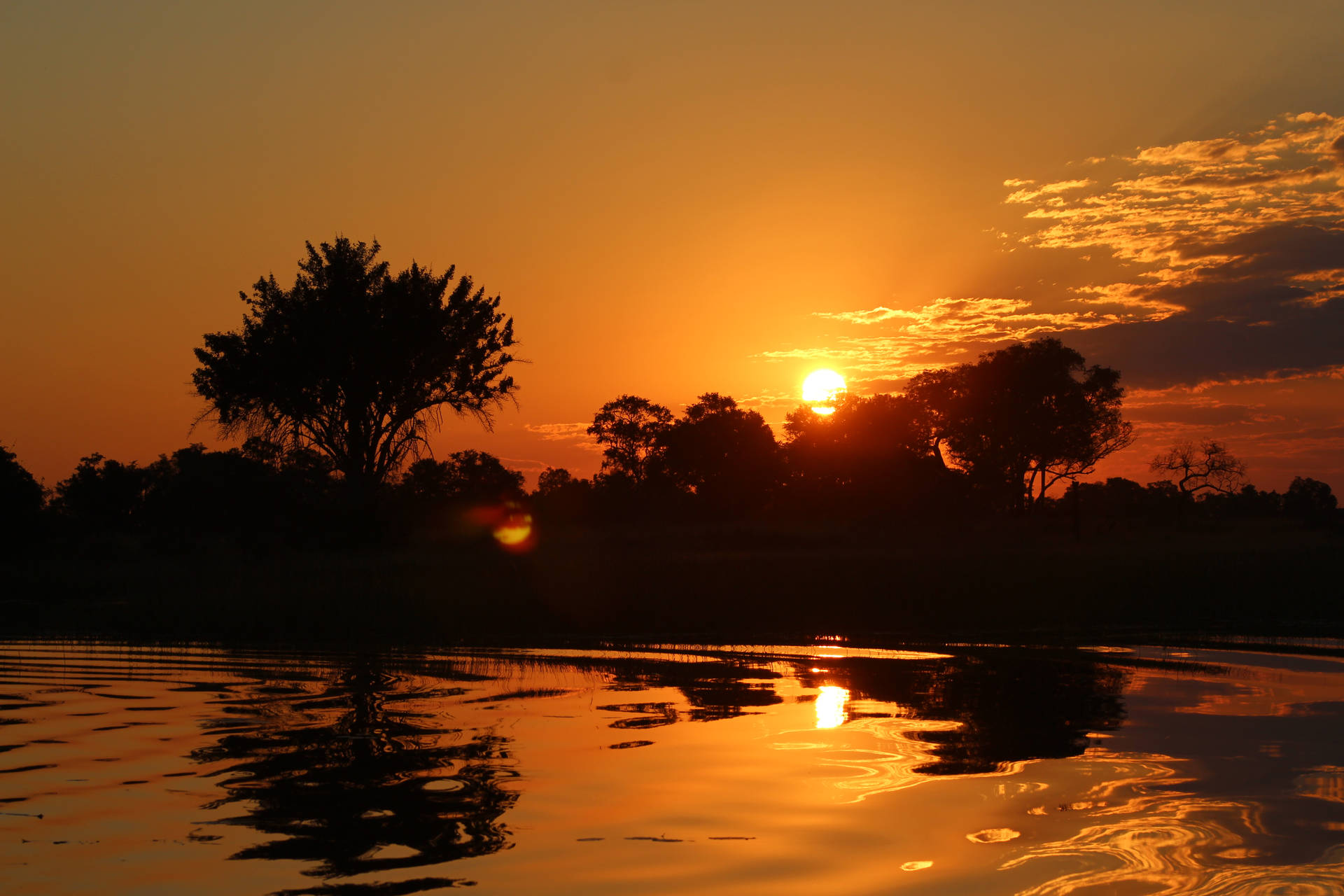 Botswana Solnedgang Træer Wallpaper