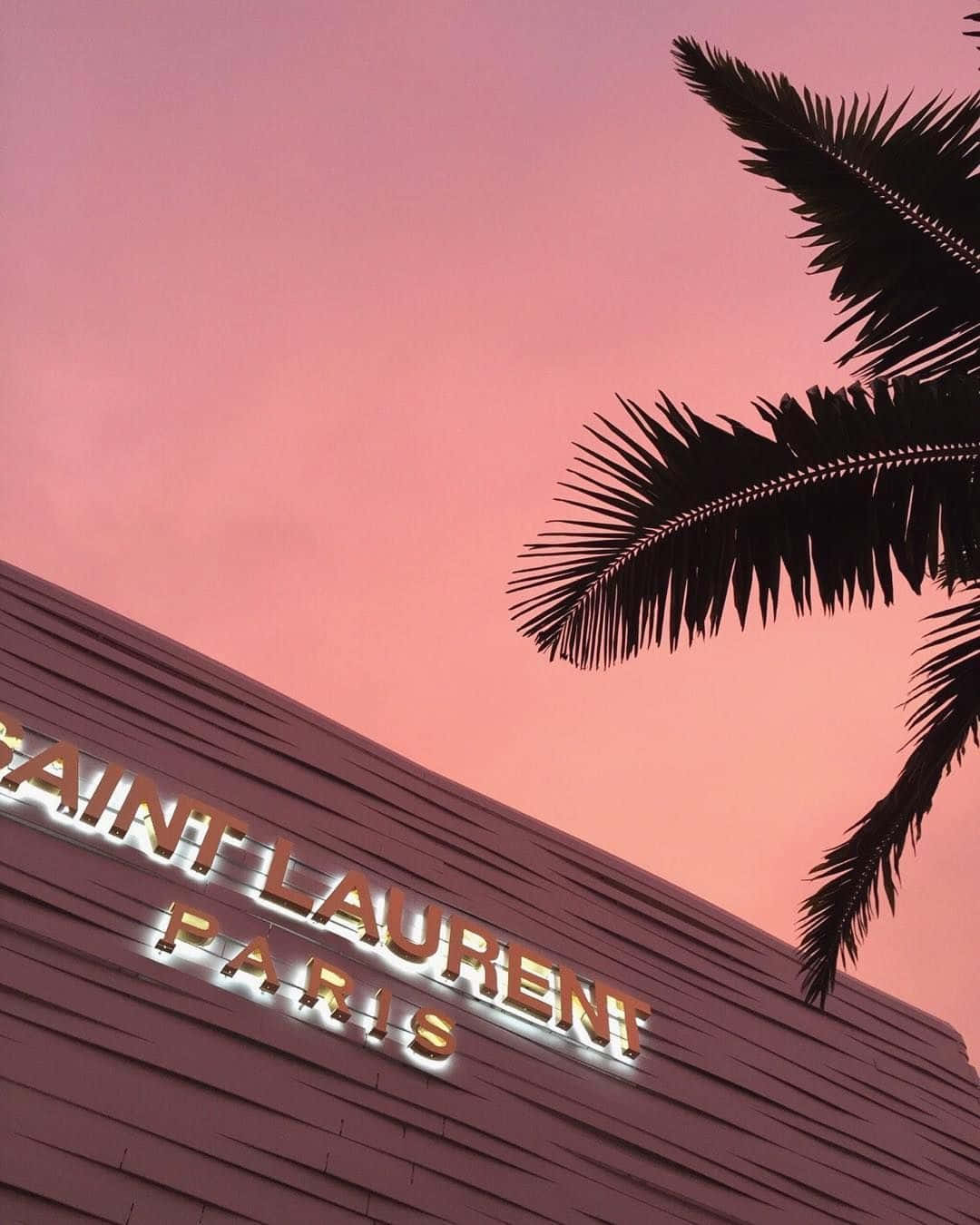 Saint Laurent Paris - en lyserød himmel og palmer Wallpaper