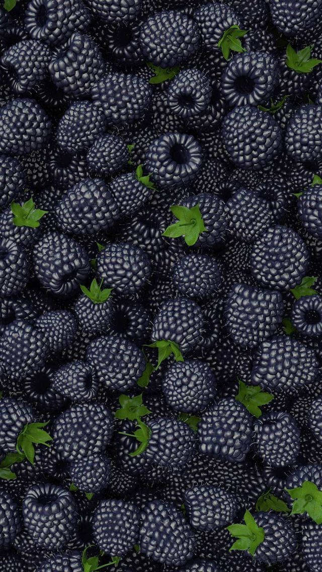 Fruktbarskörd Boysenberry. Wallpaper