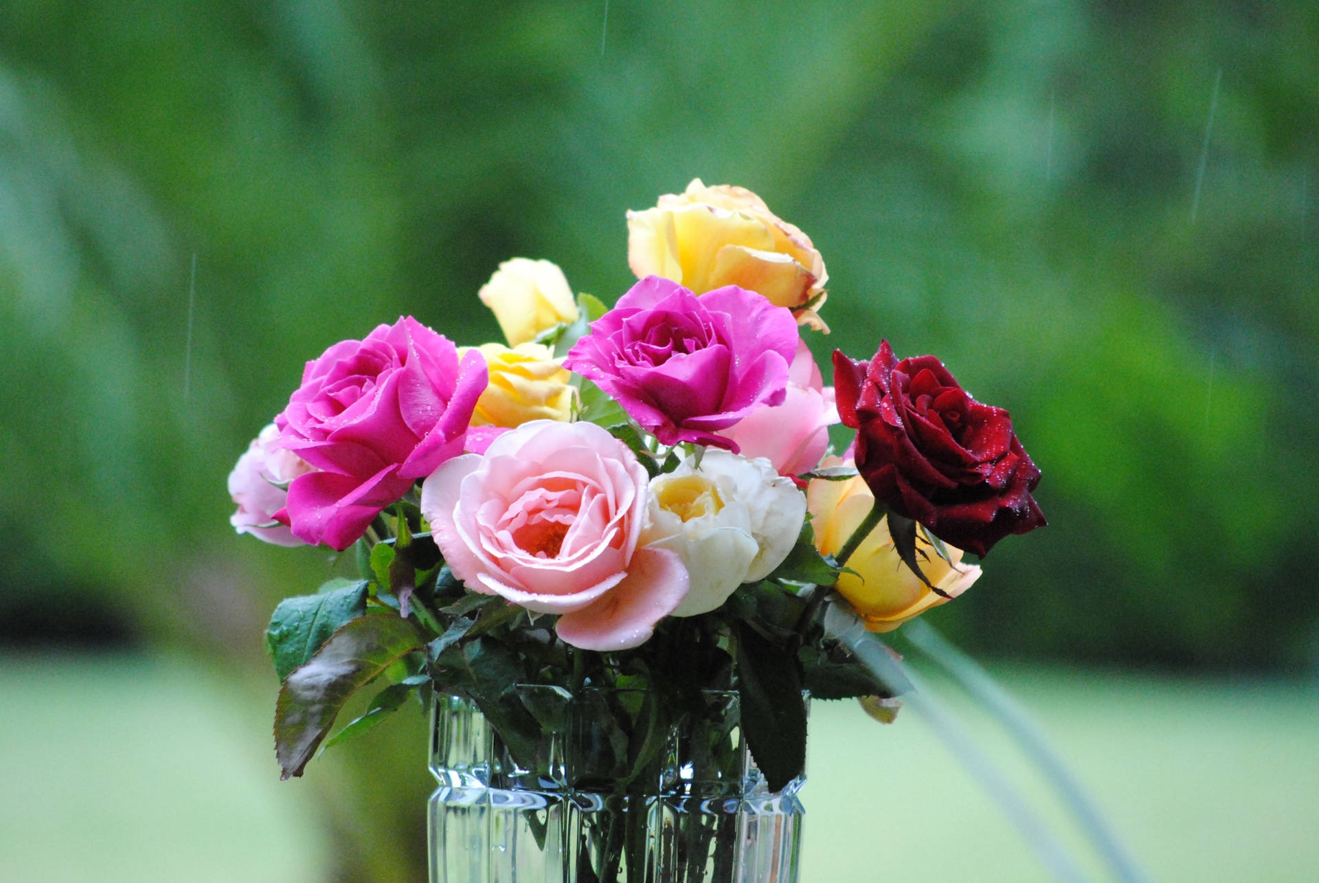 Bouquet Attractive Roses Wallpaper