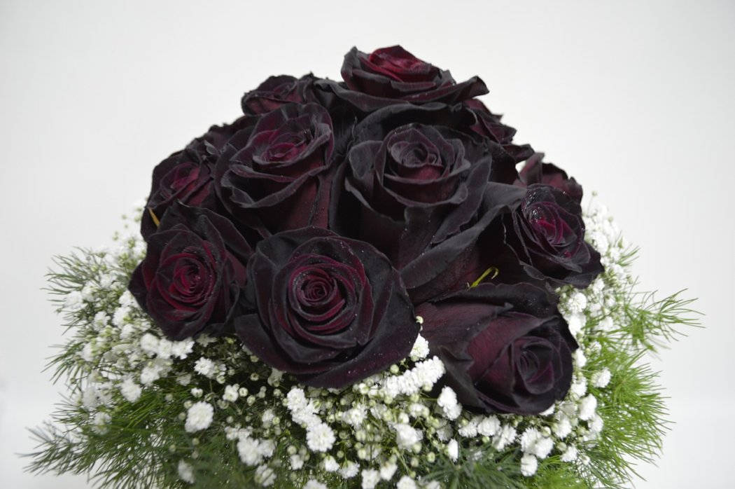 Caption: Elegant Bouquet of Black Roses Wallpaper