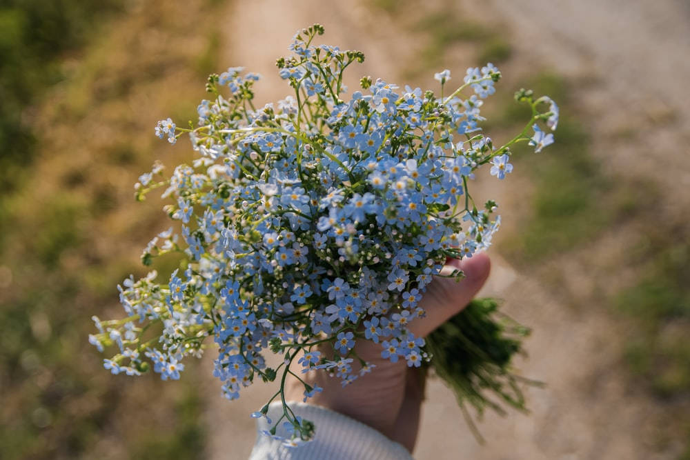 Bouquet Of Forget Me Not Flowers Background