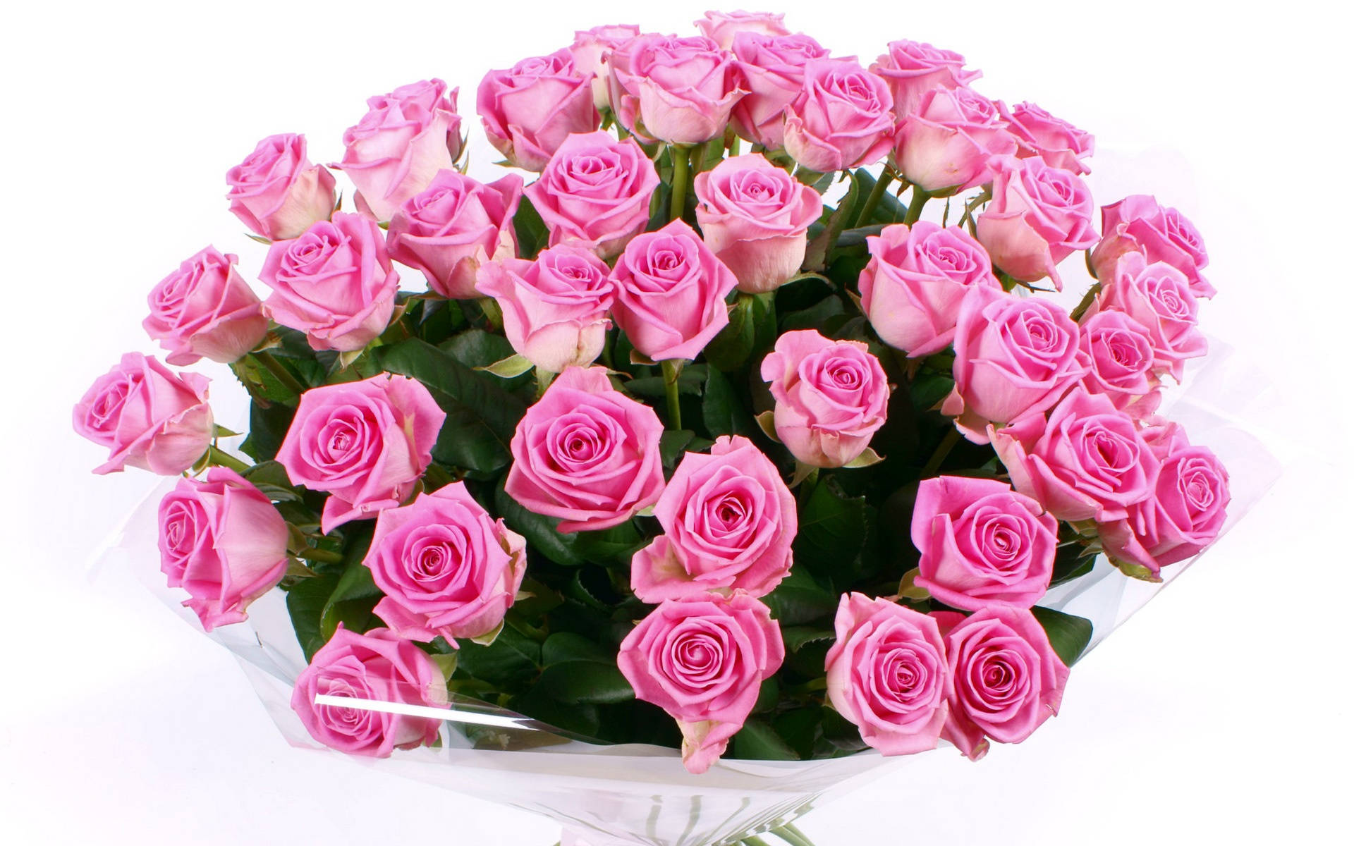 Ramilletede Rosas Rosa Pastel. Fondo de pantalla