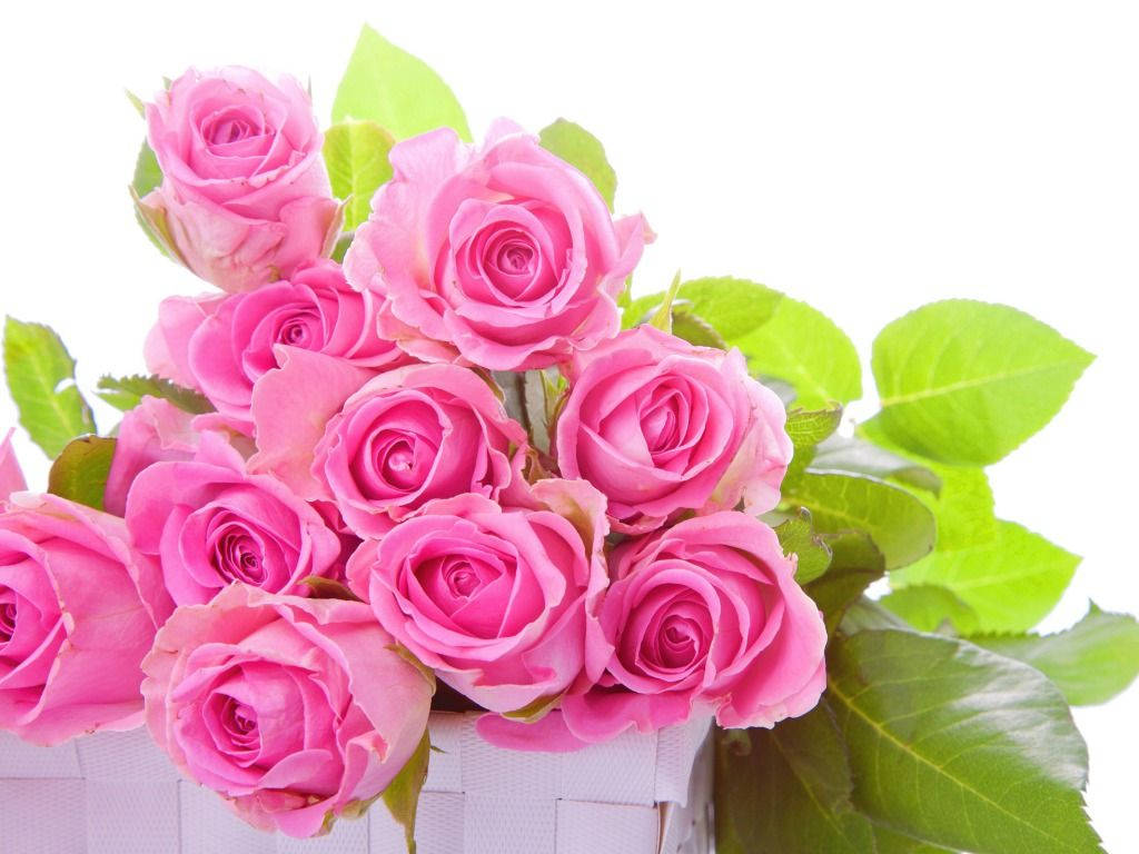 Download Bouquet Of Pink Rose Flowers Wallpaper 