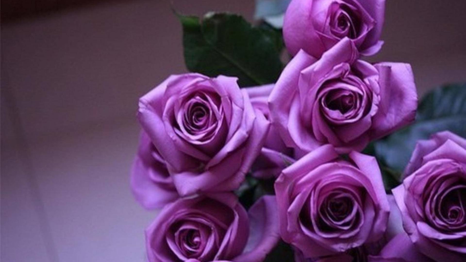 Bouquet Of Roses Purple Flowers Wallpaper