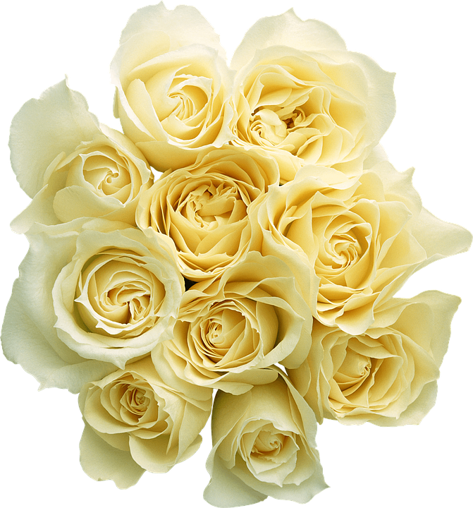 Bouquet_of_ Yellow_ Roses.png PNG