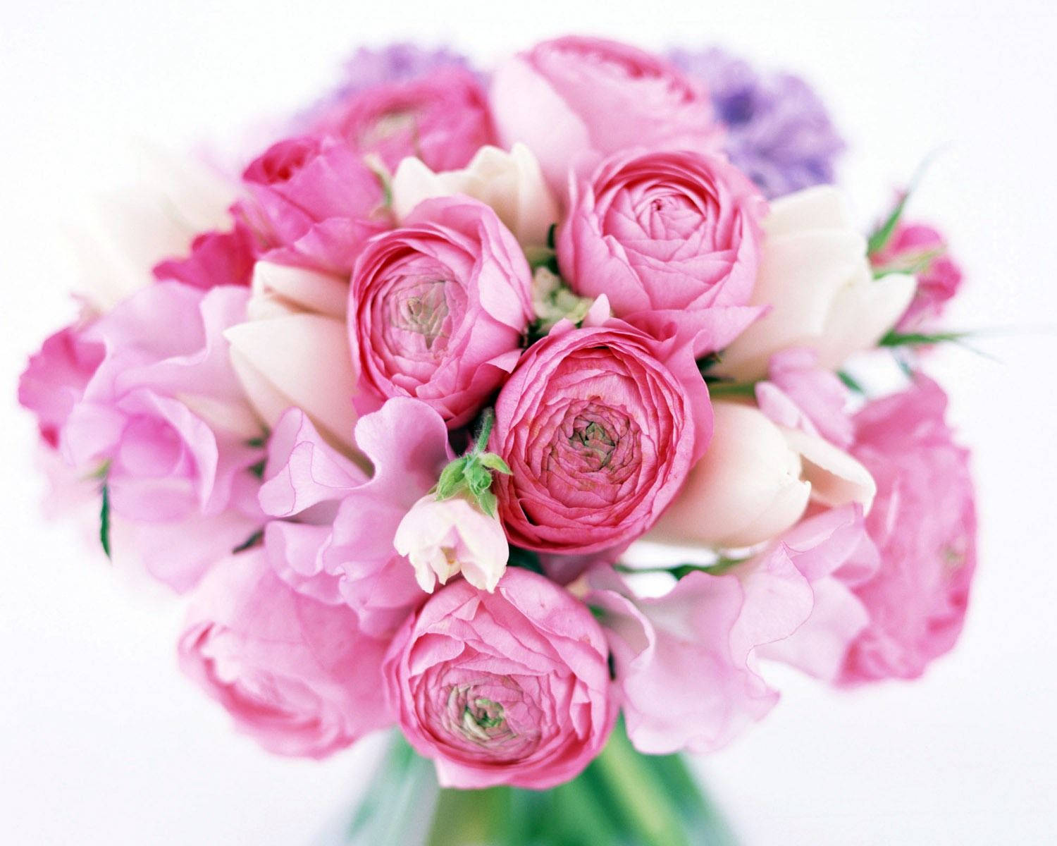 Bouquet Pink Roses And White Tulips Wallpaper