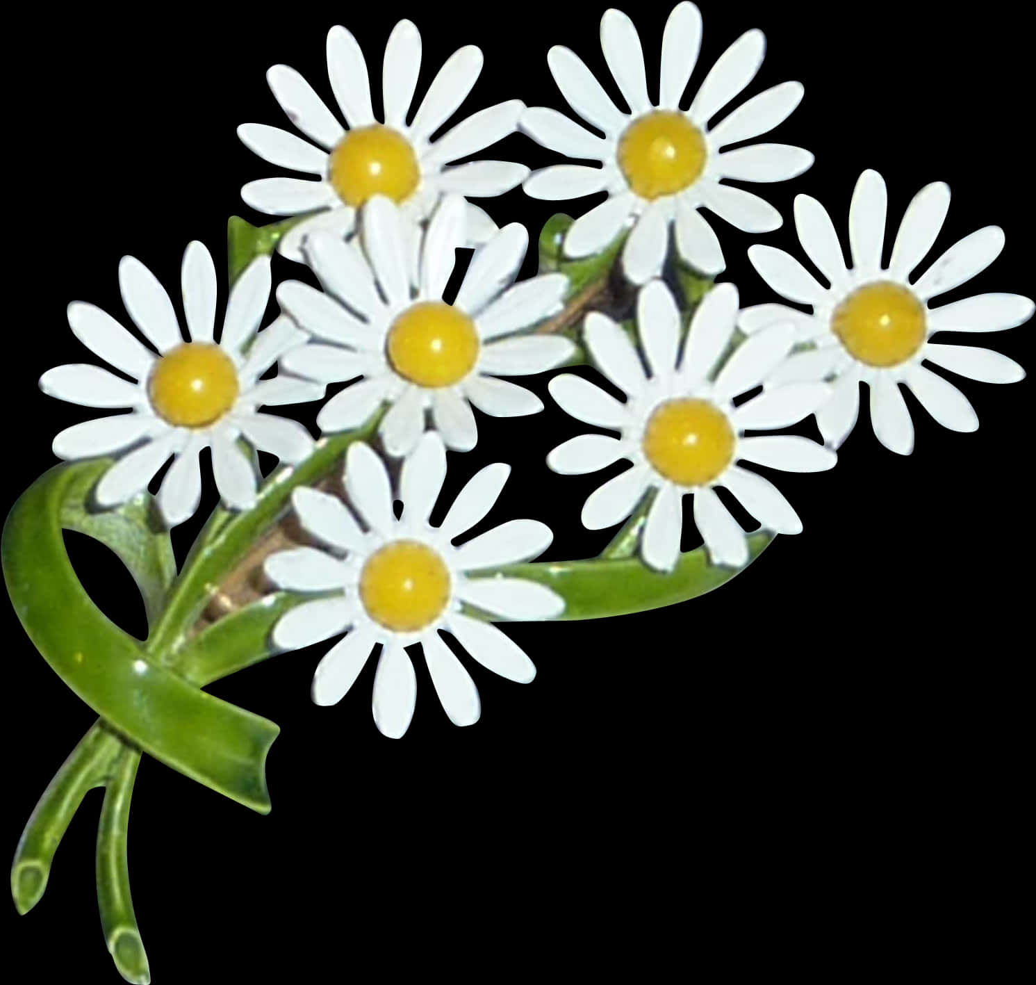Bouquetof Daisies Black Background PNG