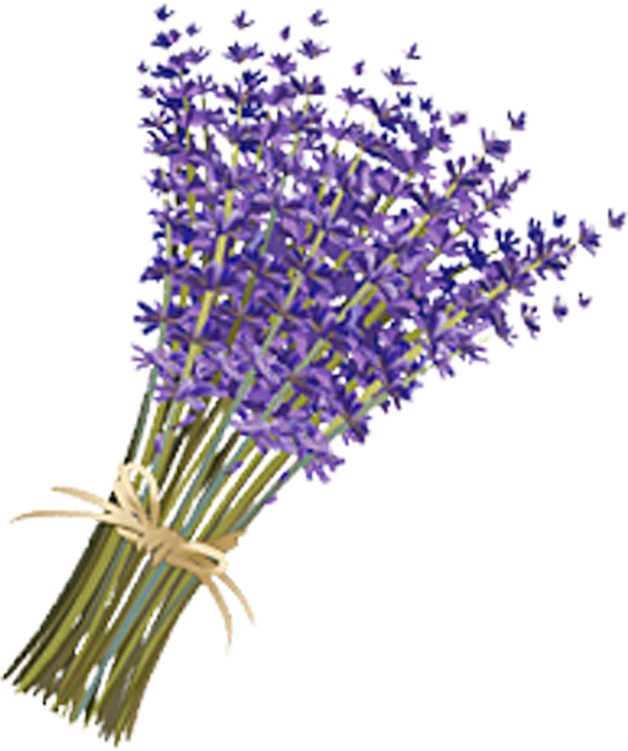 Bouquetof Lavender Flowers PNG
