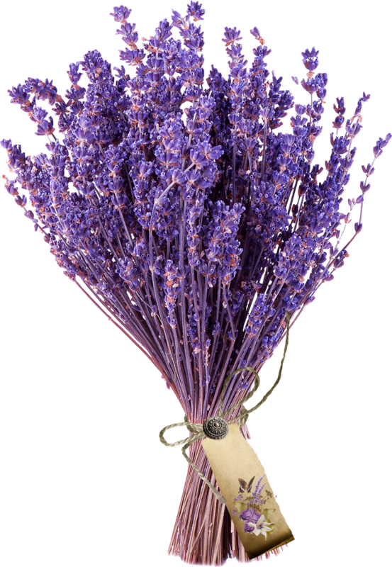 Download Bouquetof Lavender Flowers.png | Wallpapers.com