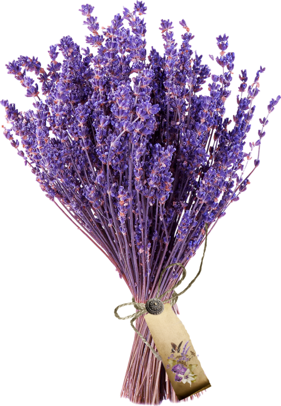 Bouquetof Lavender Flowers.png PNG