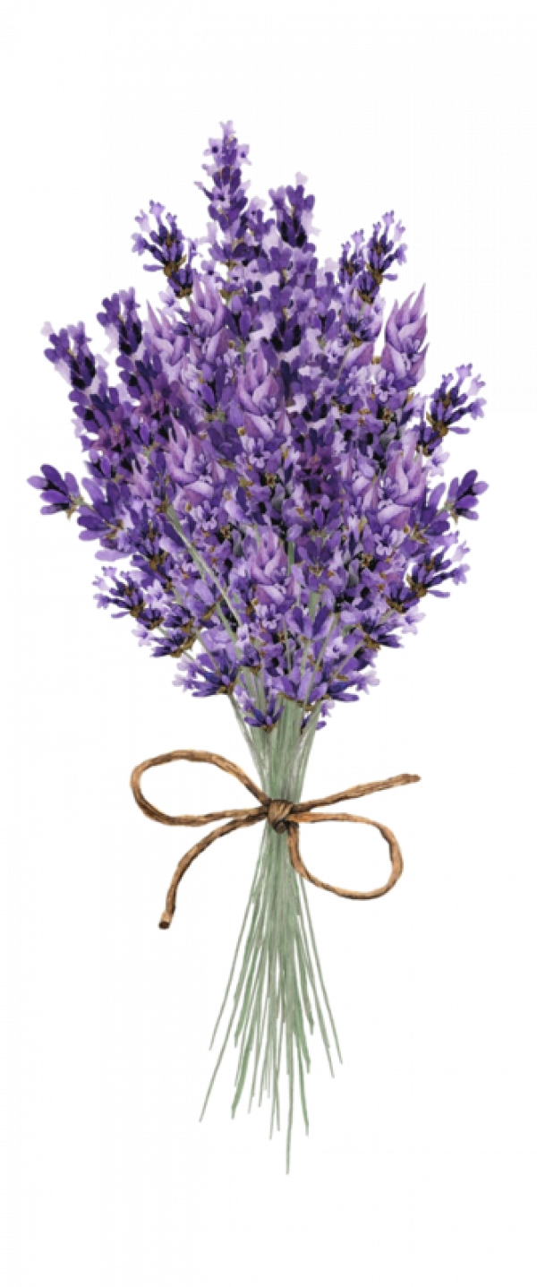 Bouquetof Lavender Flowers.png PNG