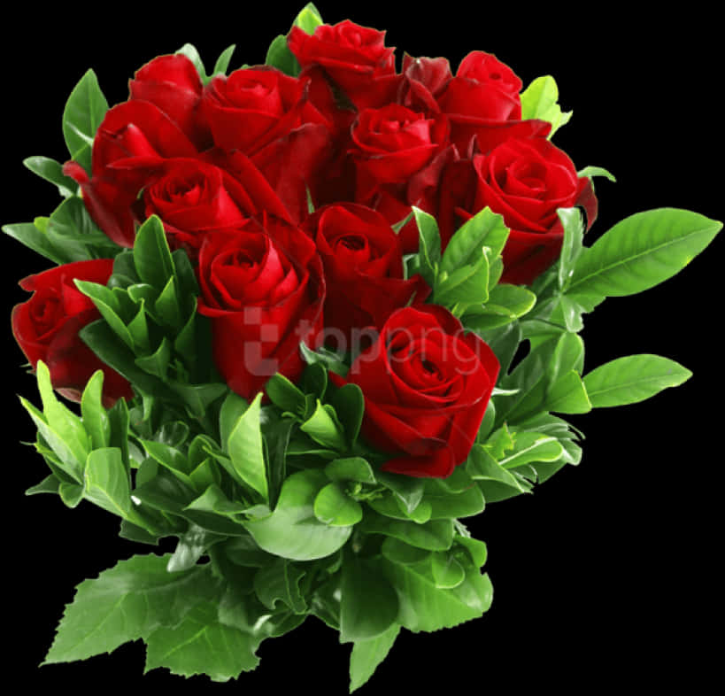 Bouquetof Red Roses Black Background PNG