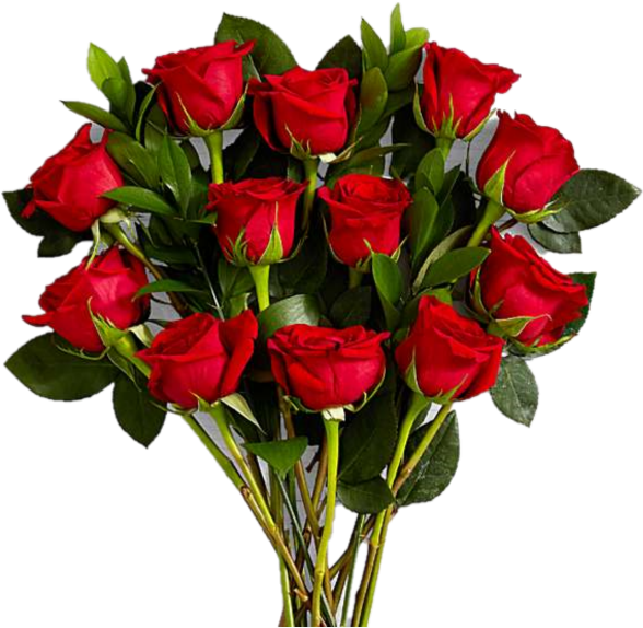 Bouquetof Red Roses PNG