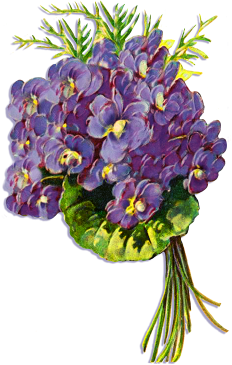 Bouquetof Violets PNG