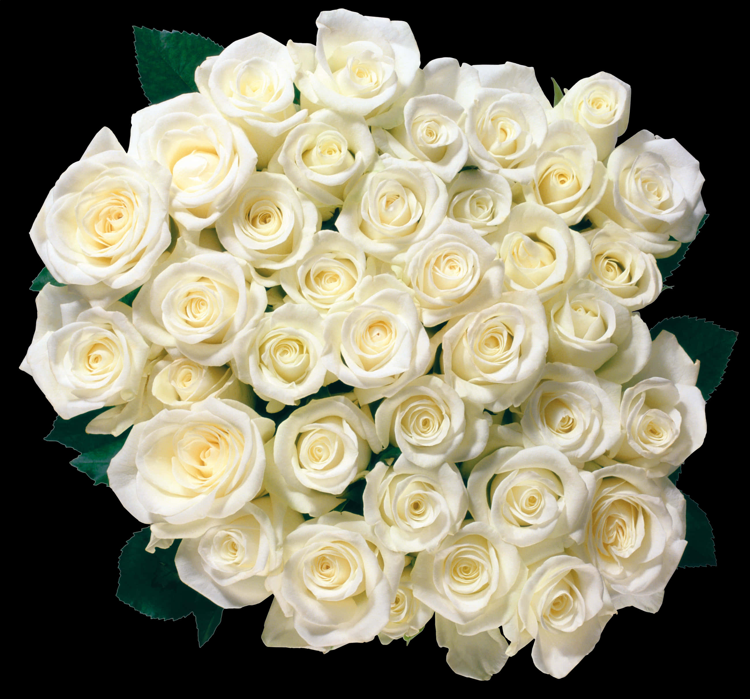 Bouquetof White Roses PNG