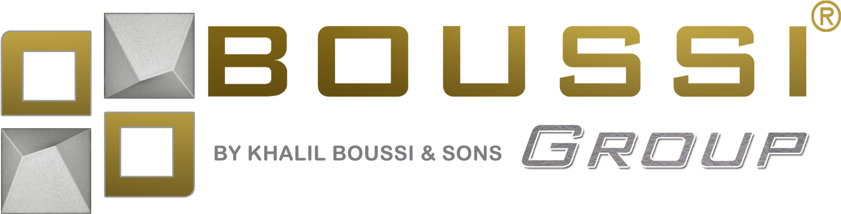 Boussi Group Logo PNG