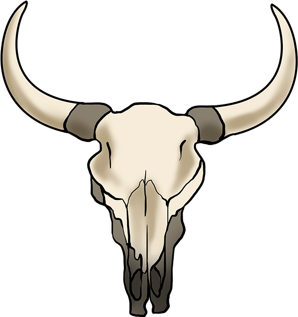 Bovine Skull Illustration PNG