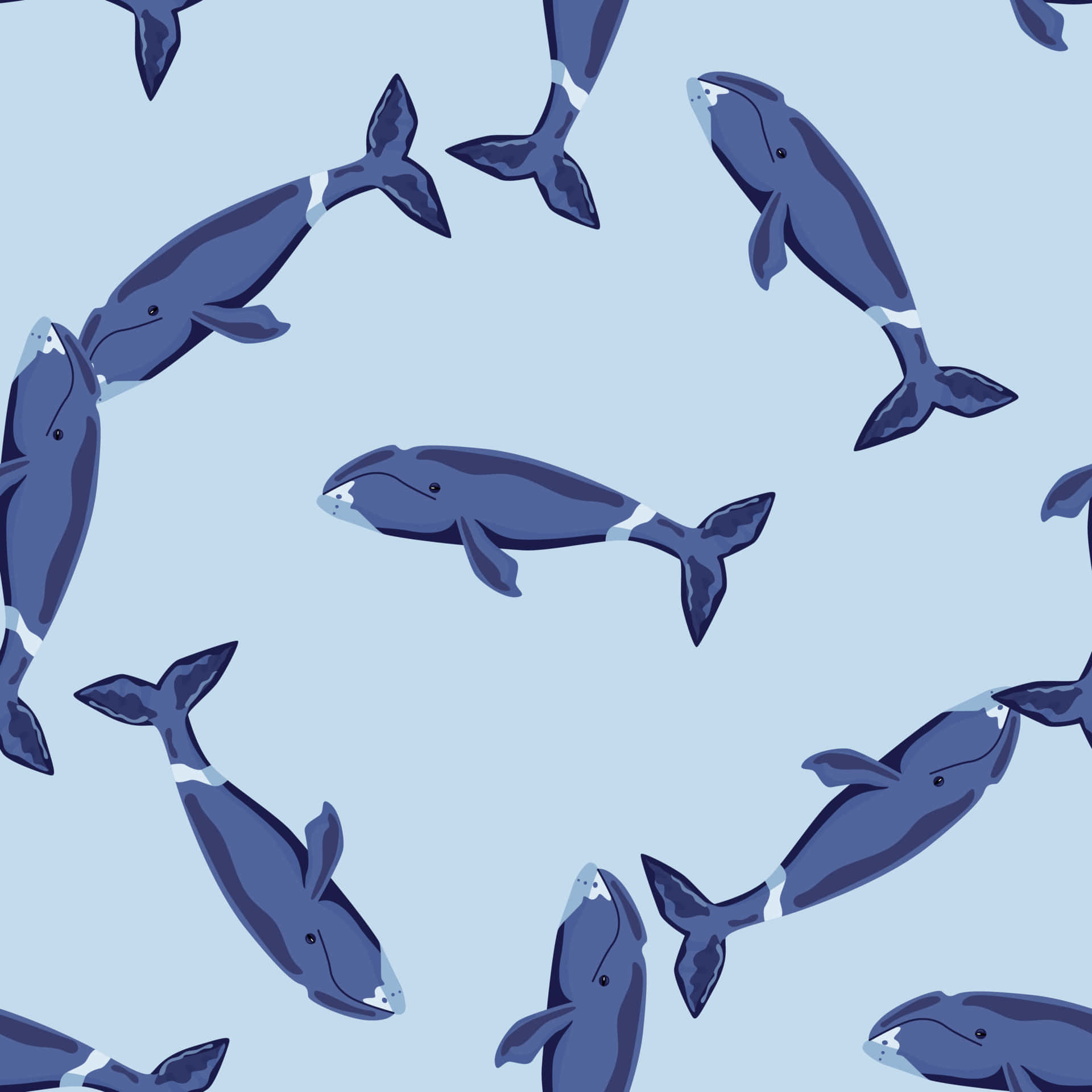 Bowhead Whale Pattern Illustration Wallpaper