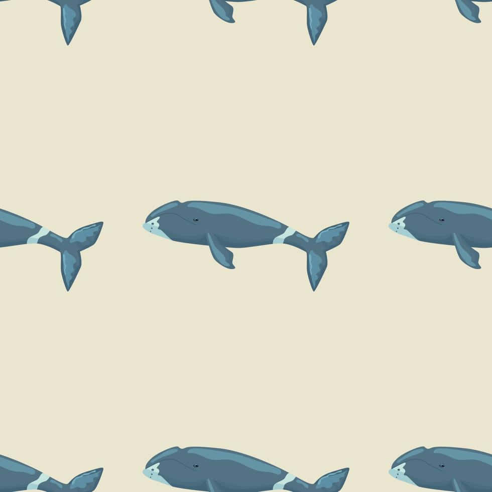 Bowhead Whale Pattern Wallpaper Wallpaper