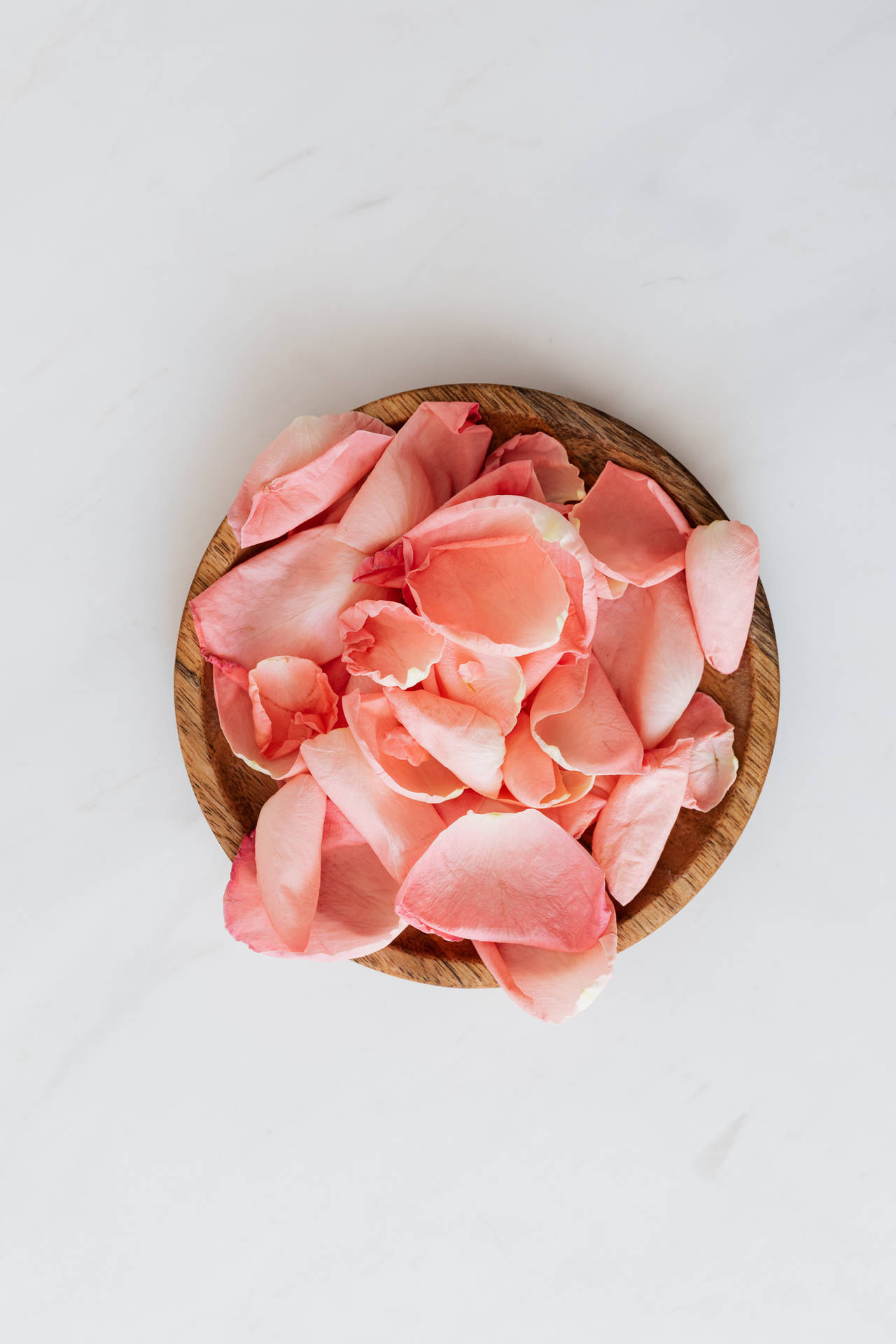 Bowl Of Pink Rose Petals Wallpaper