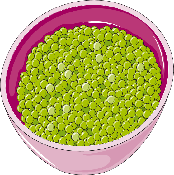 Bowlof Green Peas Illustration PNG