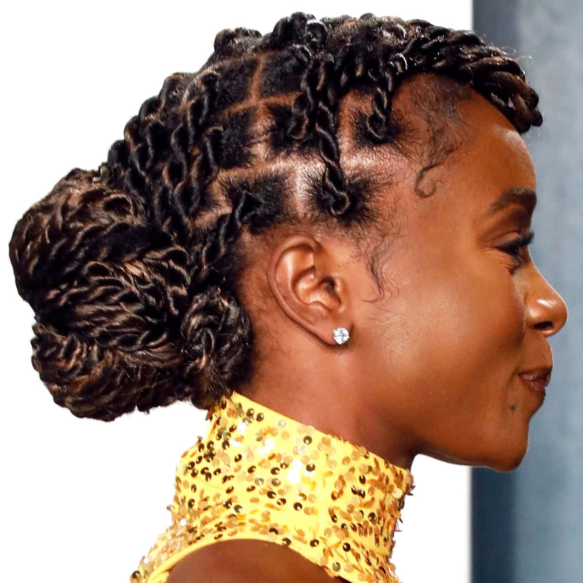 A Woman With A Braided Hairstyle