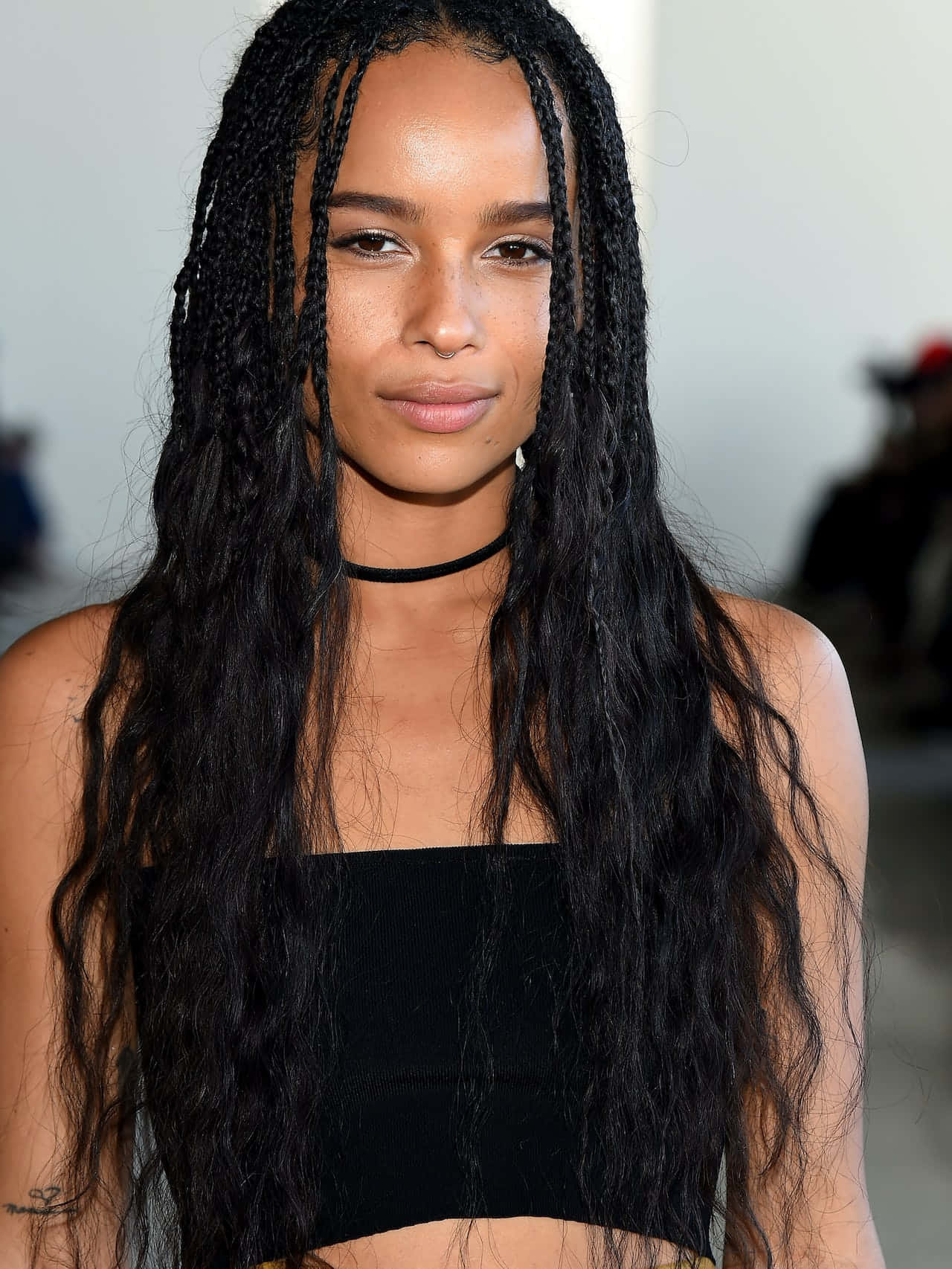"Stunning Box Braids Hairstyle 2021 Showcased by Chic Woman in High-Res Photo"
