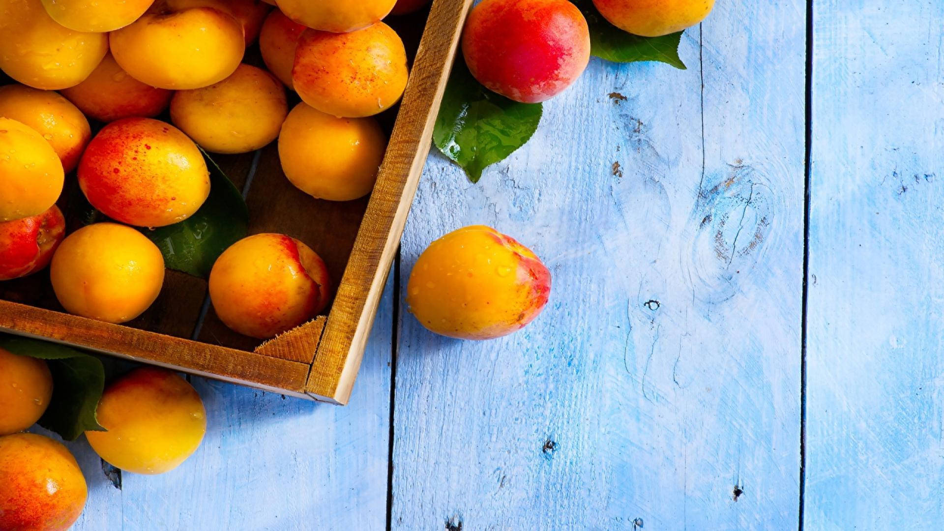 Freshly Harvested Ripe Apricots in a Box Wallpaper