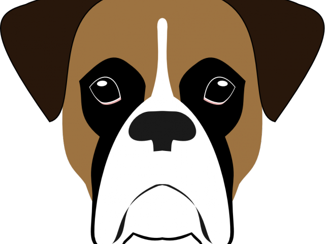 Boxer Dog Vector Portrait PNG