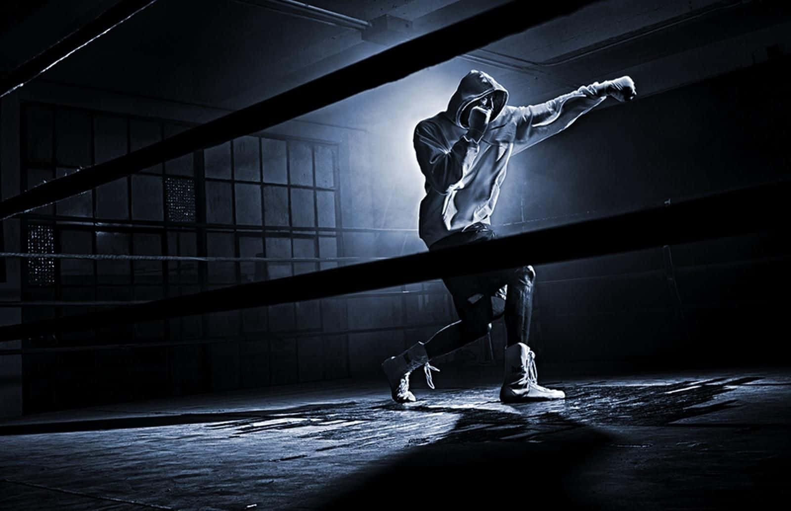 Boxer In Training Wallpaper