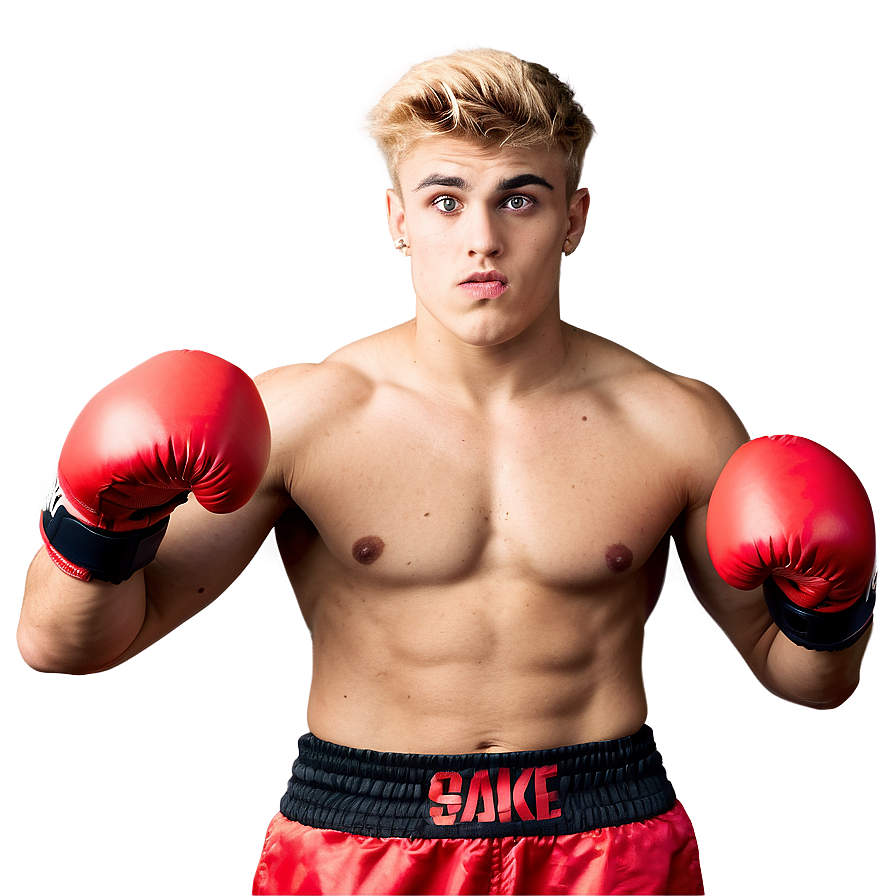 Download Boxer Pose Jake Paul | Wallpapers.com