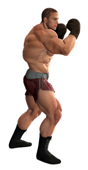 Boxer Ready Stance PNG
