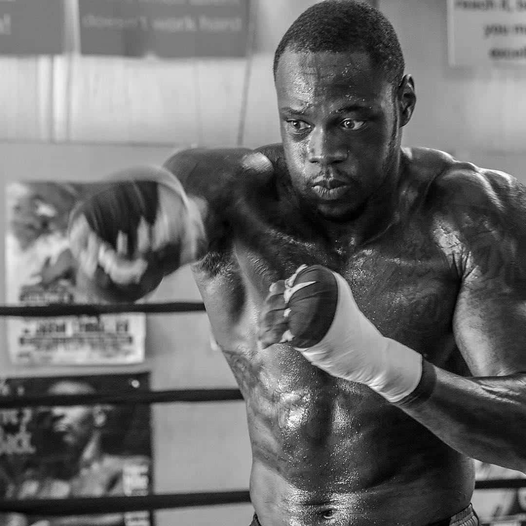 Boxer Training Intensity Blackand White Wallpaper