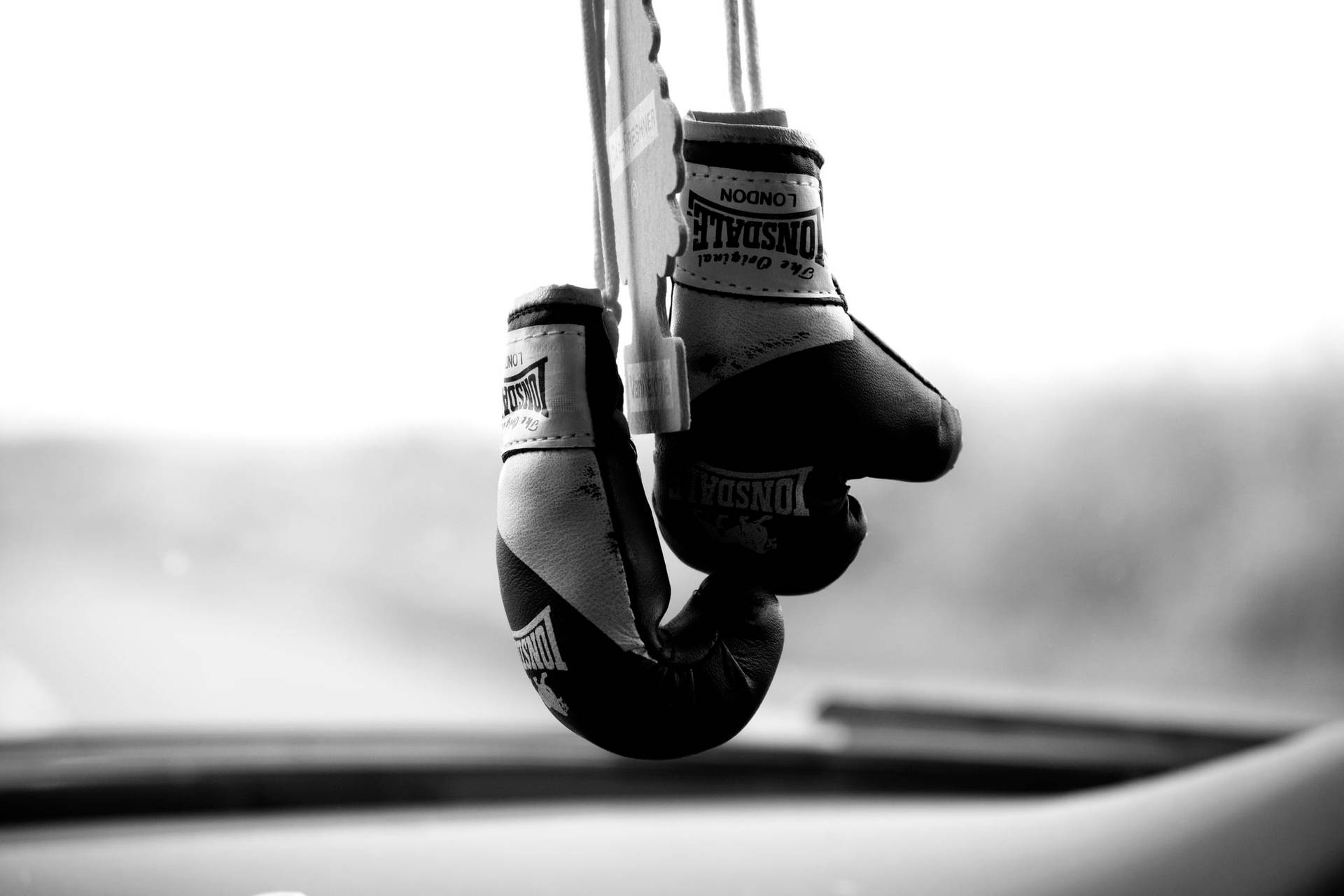 Boxing Gloves Keychain Black And White Wallpaper