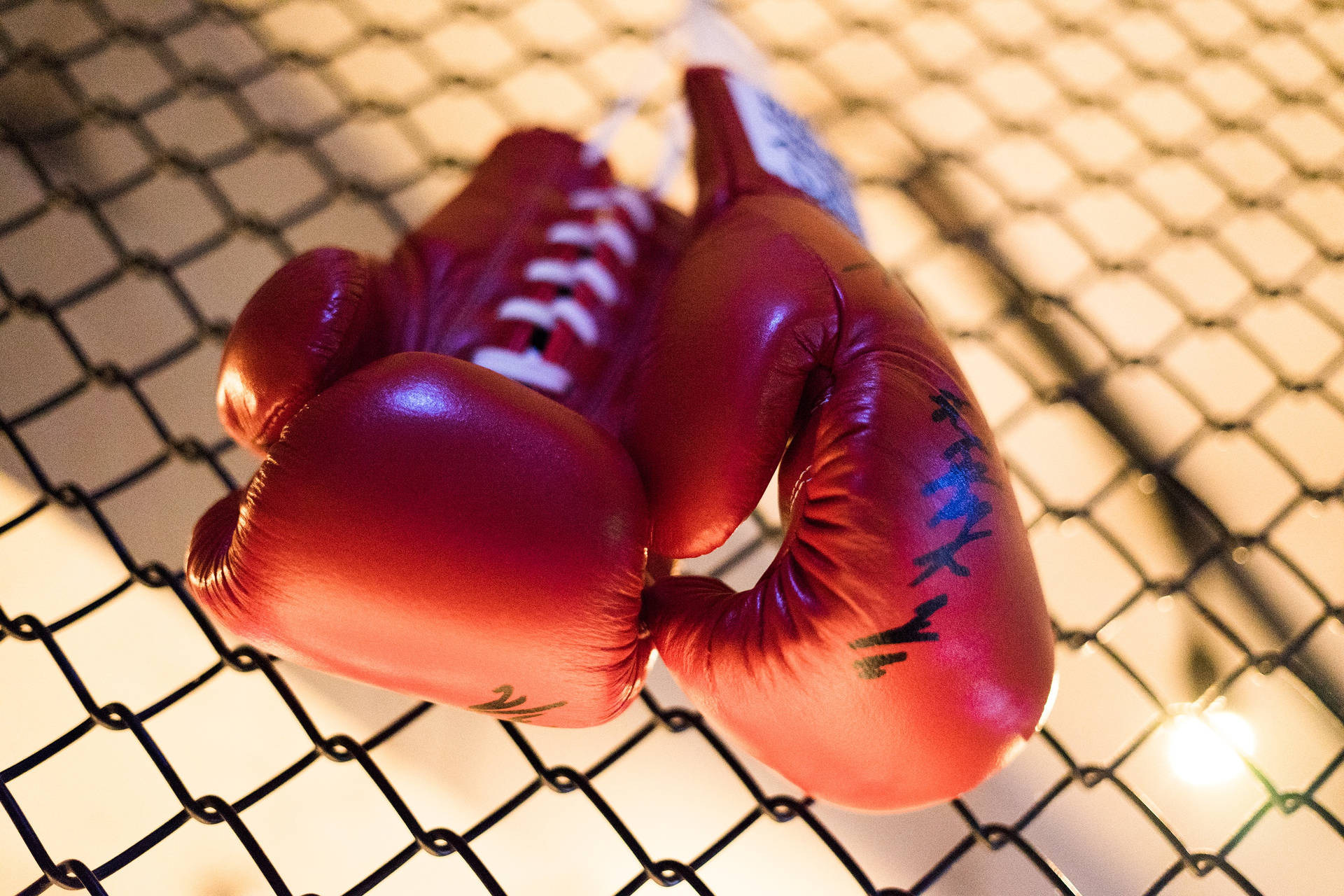 Boxing Gloves On Steel Wire Wallpaper