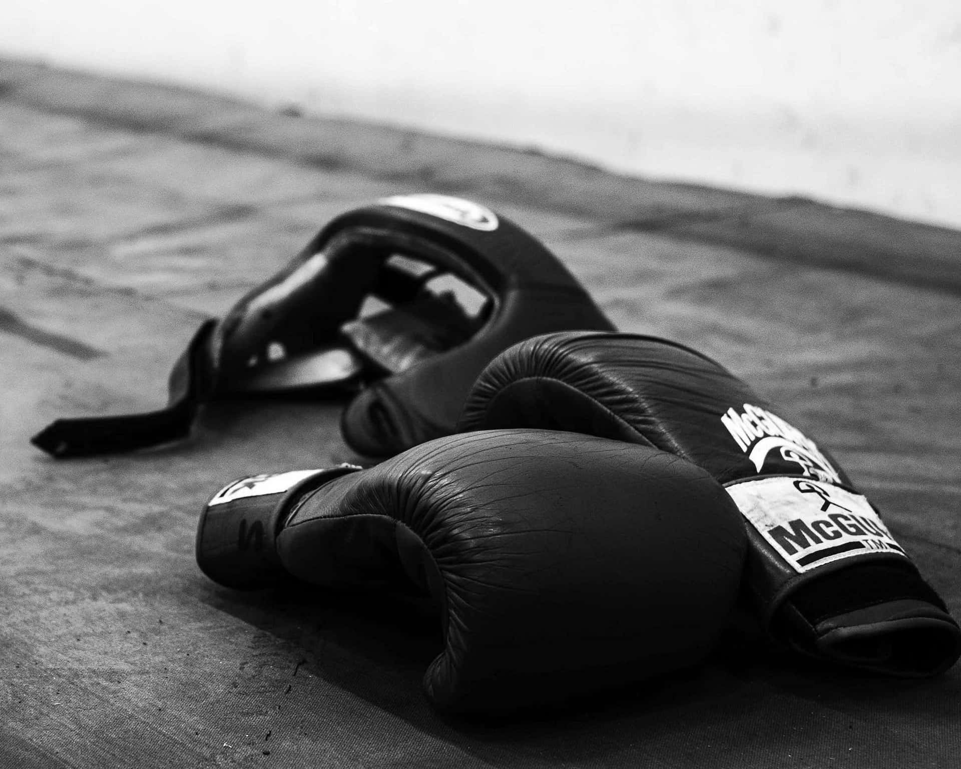 Boxing Glovesand Headgear Monochrome Wallpaper