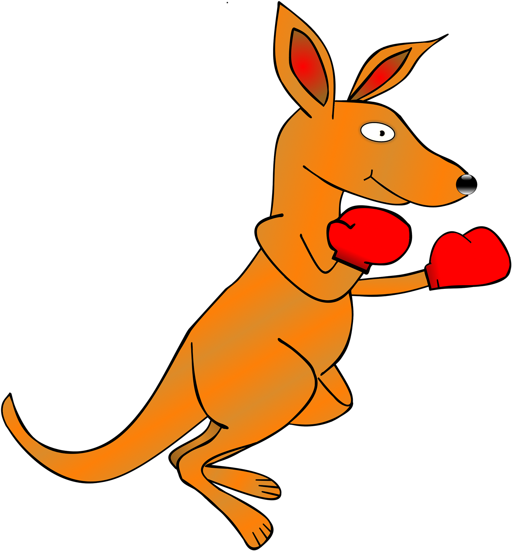 Boxing Kangaroo Cartoon PNG