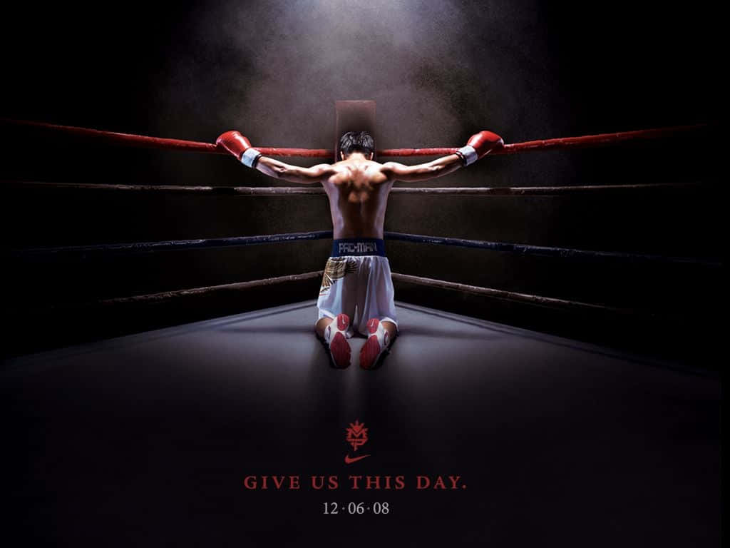 boxer sport wallpaper