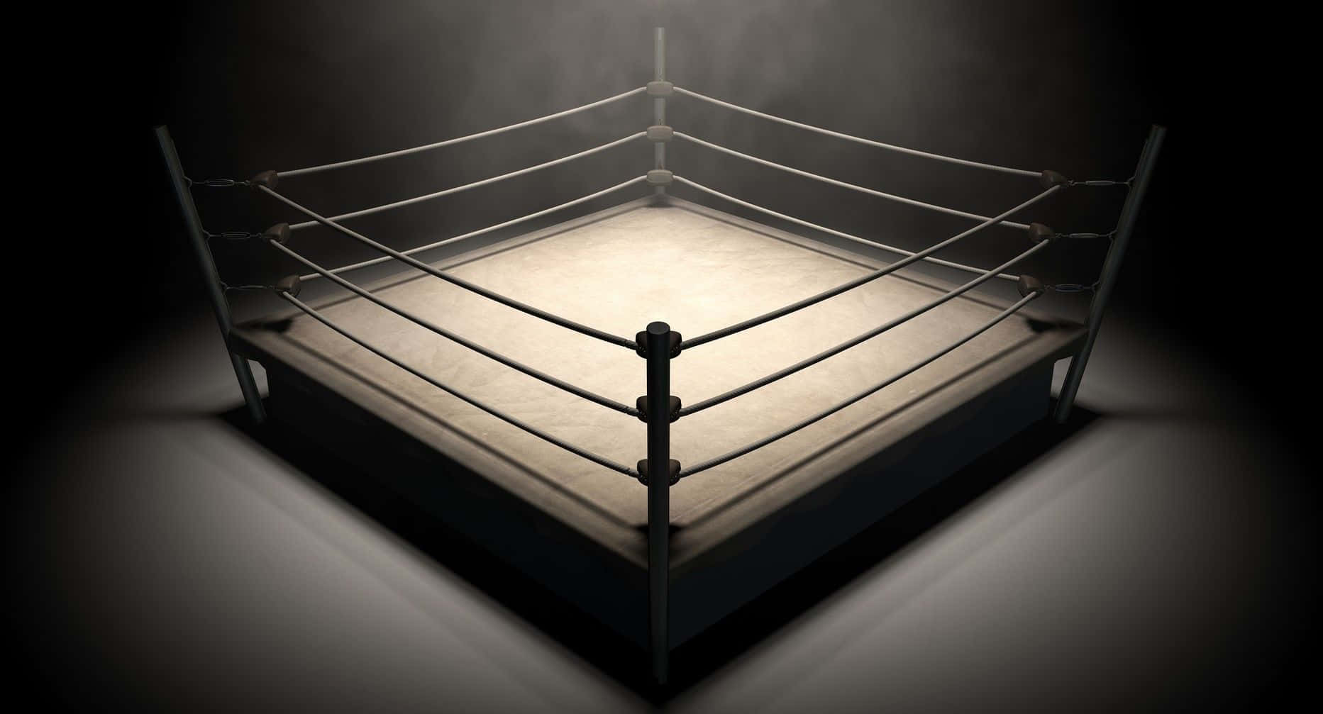 Boxing Ring 24' X 24' Regulation Approved | Boxing Ring Rental